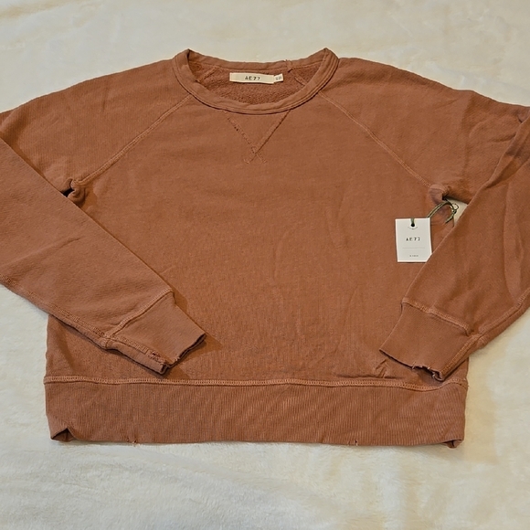 American Eagle Outfitters Premium AE77 Clay Sweatshirt Size XS - Picture 1 of 6